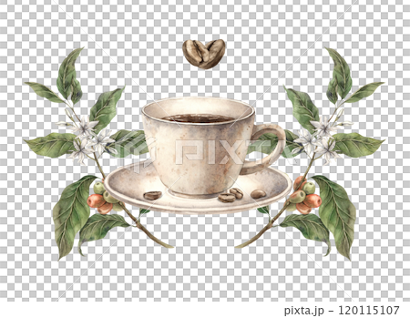 Ceramic mug with aromatic coffee with branches of coffee tree with flowers, coffee beans in the form of a heart. Watercolor illustration, suitable for decorating shops, cafes, packaging, postcards 120115107