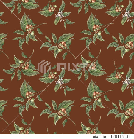 Coffee plant with green leaves and red coffee fruits. Ripe coffee berries with white flowers. Watercolor seamless pattern on brown background for shop, cafe, banner, postcard, coffee packaging design Coffee plant with green leaves and red coffee fruits. Ripe coffee berries with white flowers. Watercolor seamless pattern on brown background for shop, cafe, banner, postcard, coffee packaging design 120115132