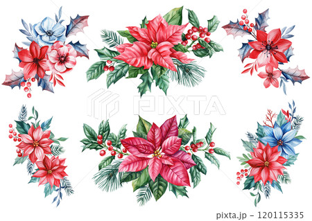 Set watercolor Christmas poinsettia arrangement. Holly berries, pine branches and festive winter leaves white background Set watercolor Christmas poinsettia arrangement. Holly berries, pine branches and festive winter leaves white background 120115335