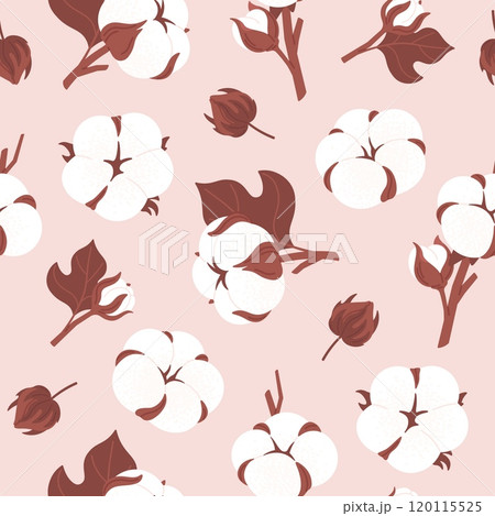 Cotton plants seamless pattern. White fluffy flowers print design for wallpaper fabric wrapping webpage. Botanical racy vector scandinavian style background 120115525
