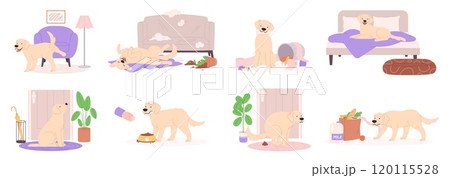 Pet behavior problems. Dog different emotions, destroying at home. Puppy play with garbage, poops on carpet, rips furniture, steals food, racy vector scenes 120115528