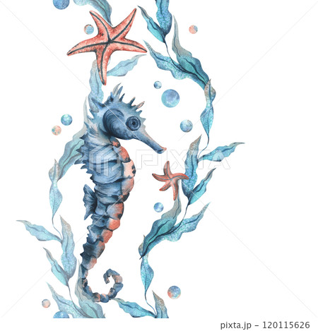 Seahorse, sea blue algae with leaves wriggling in wave with bubbles and coral starfish. Hand drawn watercolor illustration of underwater world. Seamless vertical border pattern for long projects 120115626