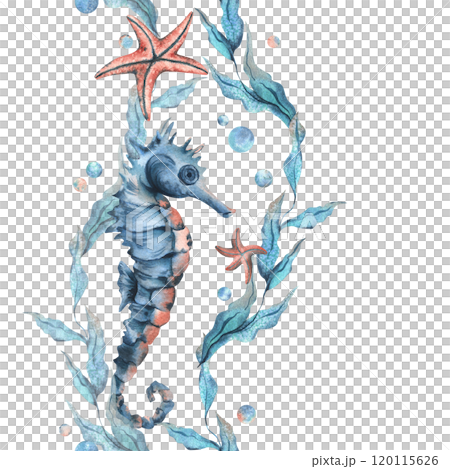 Seahorse, sea blue algae with leaves wriggling in wave with bubbles and coral starfish. Hand drawn watercolor illustration of underwater world. Seamless vertical border pattern for long projects 120115626