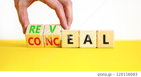 Reveal or conceal symbol. Businessman turns wooden cubes and changes word Conceal to Reveal. Beautiful yellow table white background, copy space. Business reveal or conceal concept. Reveal or conceal symbol. Businessman turns wooden cubes and changes word Conceal to Reveal. Beautiful yellow table white background, copy space. Business reveal or conceal concept. 120116083