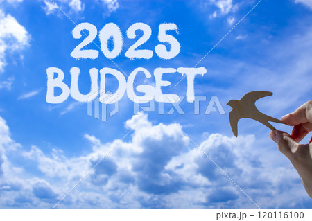 Planning 2025 budget new year symbol. Concept words 2025 Budget on beautiful blue sky. Beautiful blue sky clouds background. Hand with wooden bird. Business 2025 budget new year concept. Copy space. Planning 2025 budget new year symbol. Concept words 2025 Budget on beautiful blue sky. Beautiful blue sky clouds background. Hand with wooden bird. Business 2025 budget new year concept. Copy space. 120116100
