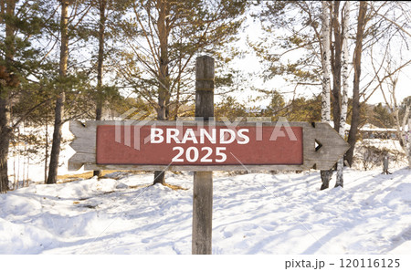 Planning brands 2025 new year symbol. Concept words Brands 2025 on beautiful wooden old retro vintage road sign. Beautiful winter forest background. Business brands 2025 new year concept. Copy space. 120116125
