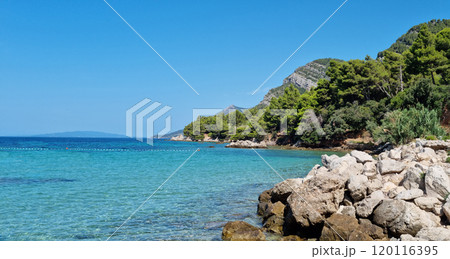 Zuljana Zuljana 120116395