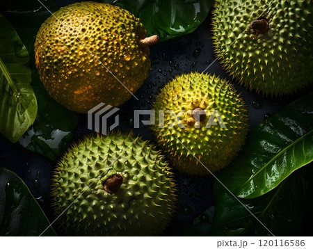 Seamless breadfruit pattern with whole and open fruit on green leaves for design and print 120116586