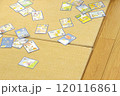 幼稚園　保育園　おもちゃ　遊具 120116861