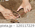 子どもの生活の様子 120117229