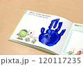 子どもの生活の様子 120117235