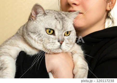 Cat Woman Holding Pet Indoor Close-up 120117238