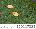 公園の様子 120117325