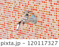 公園の様子 120117327