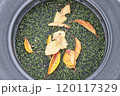 公園の様子 120117329