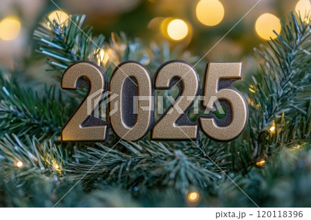 2025 New Year countdown in greenery 120118396