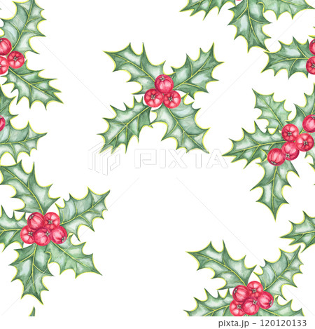 Holly with clusters of red berries and green leaves illustrated in a seamless watercolor pattern. Ilex clipart for creating festive gift wrap, textiles, holiday merchandise, and decor 120120133