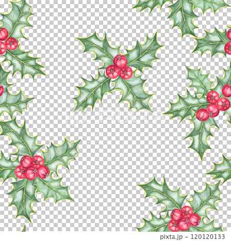 Holly with clusters of red berries and green leaves illustrated in a seamless watercolor pattern. Ilex clipart for creating festive gift wrap, textiles, holiday merchandise, and decor 120120133