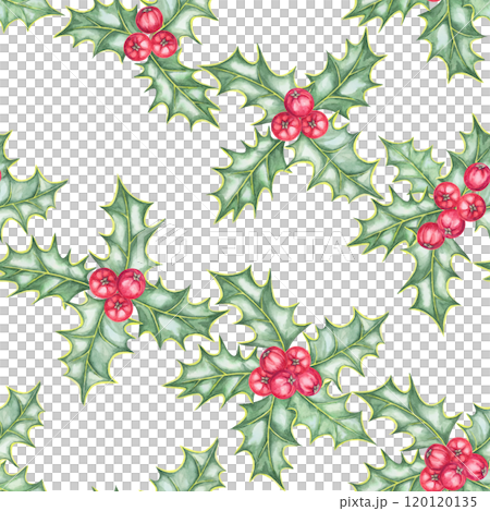 Holly leaves and red berries illustrated in a seamless watercolor pattern. Ilex clipart for designing holiday-themed fabric, wrapping paper, festive apparel, and custom stationery Holly leaves and red berries illustrated in a seamless watercolor pattern. Ilex clipart for designing holiday-themed fabric, wrapping paper, festive apparel, and custom stationery 120120135
