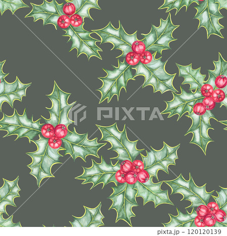Holly branches with detailed green leaves and clusters of red berries arranged on muted green background. Seamless watercolor pattern for designing gift packaging, holiday decor, and festive textiles 120120139