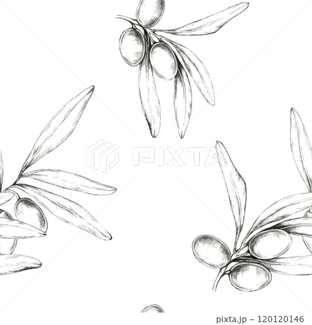 Olive branches with olives, delicately sketched in pencil, Minimalistic seamless pattern illustration. Great for fabric designs, home decor, or packaging with a natural, clean aesthetic Olive branches with olives, delicately sketched in pencil, Minimalistic seamless pattern illustration. Great for fabric designs, home decor, or packaging with a natural, clean aesthetic 120120146