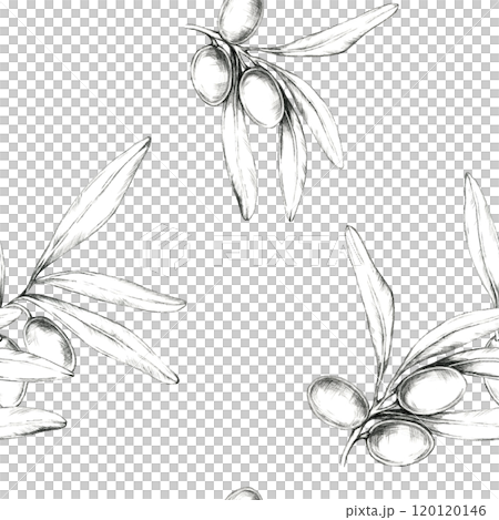 Olive branches with olives, delicately sketched in pencil, Minimalistic seamless pattern illustration. Great for fabric designs, home decor, or packaging with a natural, clean aesthetic Olive branches with olives, delicately sketched in pencil, Minimalistic seamless pattern illustration. Great for fabric designs, home decor, or packaging with a natural, clean aesthetic 120120146