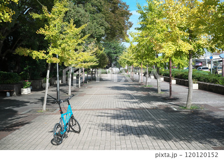 ホールディング自転車と公園 ホールディング自転車と公園 120120152