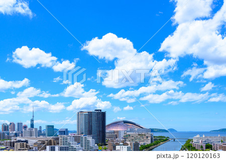 唐人町・大濠公園方面から望む早良区百道浜、地行浜、福岡タワー一帯　2024夏朝カラー 120120163