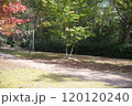 公園の道 120120240