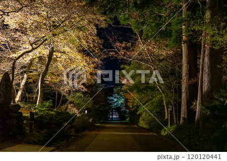 日本の鳥取県の大山の美しい秋の夜の風景 120120441