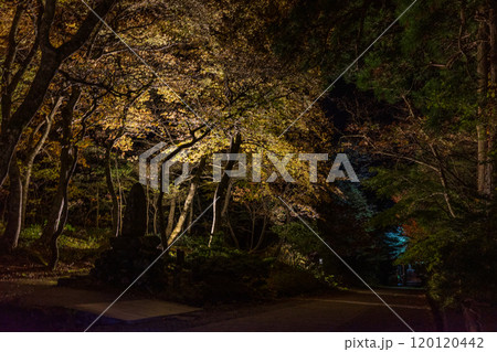 日本の鳥取県の大山の美しい秋の夜の風景 120120442