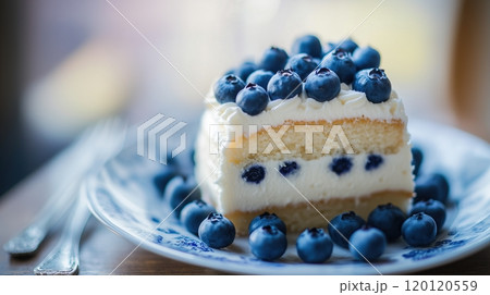 Japanese fluffy cake topped with blueberries on plate 120120559