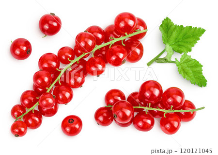 Red currant berries isolated on white background. Top view. Flat lay Red currant berries isolated on white background. Top view. Flat lay 120121045