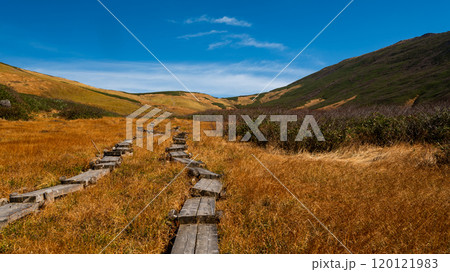 晩秋の月山、草紅葉の中登山道をいく 晩秋の月山、草紅葉の中登山道をいく 120121983