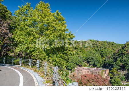 天ケ瀬ダム下の遺構　旧宇治川電気志津川発電所跡　京都府宇治市 120122333