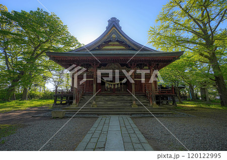 日吉八幡神社 日吉八幡神社 120122995