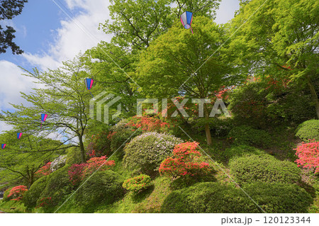 千秋公園 120123344