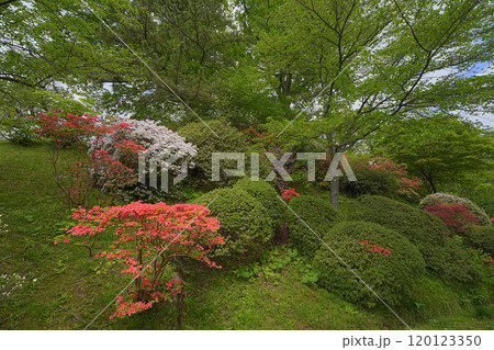 千秋公園 120123350
