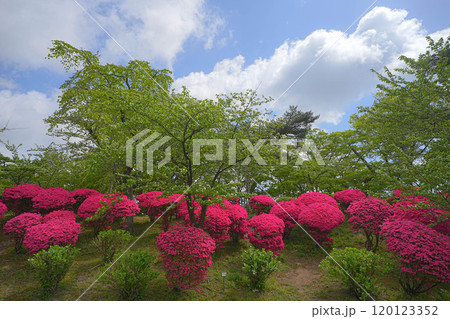 千秋公園 120123352