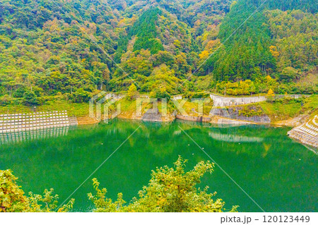 秩父湖(二瀬ダム) 120123449