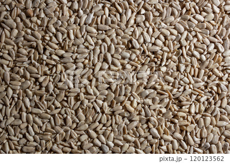 Peeled Sunflower Seeds Background 120123562