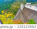 奥秩父もみじ湖(滝沢ダム) 120123662