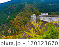 奥秩父もみじ湖(滝沢ダム) 120123670