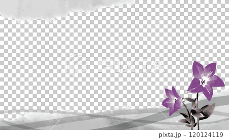 Bellflower ink painting template 120124119
