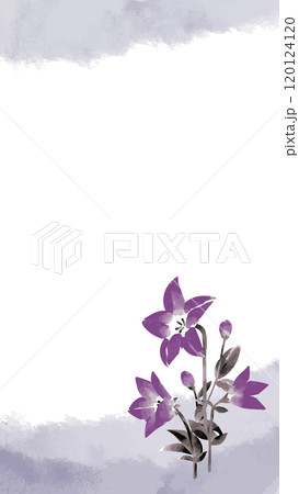 桔梗の墨絵イラストテンプレート 120124120