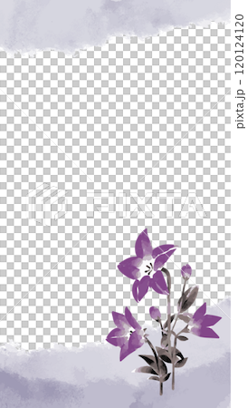 桔梗の墨絵イラストテンプレート 120124120