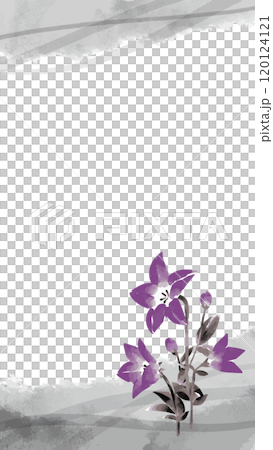 Bellflower ink painting template 120124121