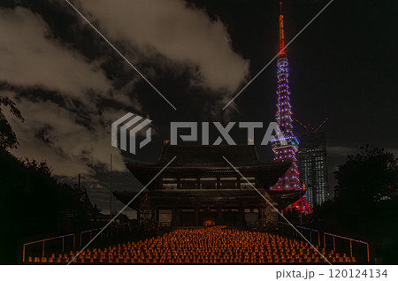 増上寺七夕まつり和紙キャンドルナイト 増上寺七夕まつり和紙キャンドルナイト 120124134
