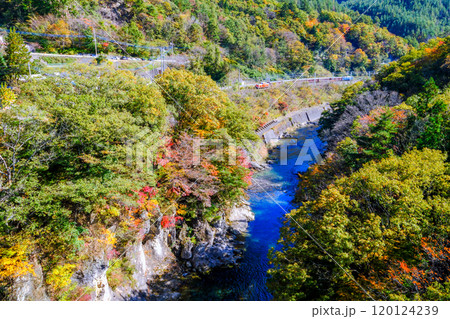 秋の諏訪峡とディーゼル機関車 秋の諏訪峡とディーゼル機関車 120124239