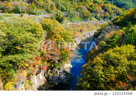 紅葉の諏訪峡とDLぐんま1 120124368